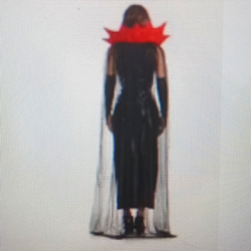 Vampire Costume - Picture 3 of 6